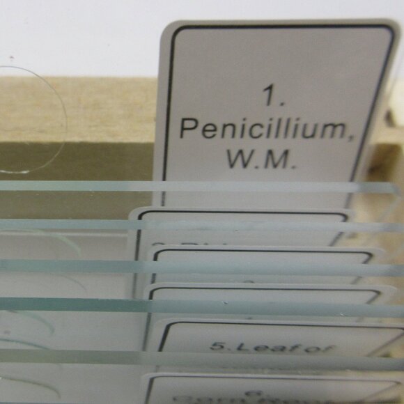 Celestron 25 Prepared Microscope Slides in Wood Storage Case # 44410 - Picture 11 of 13